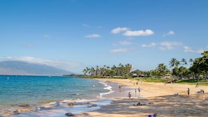 Une plage avec une eau d’un bleu limpide, des palmiers et une montagne en arrière-plan.