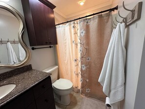Combined shower/tub, hair dryer, towels, soap