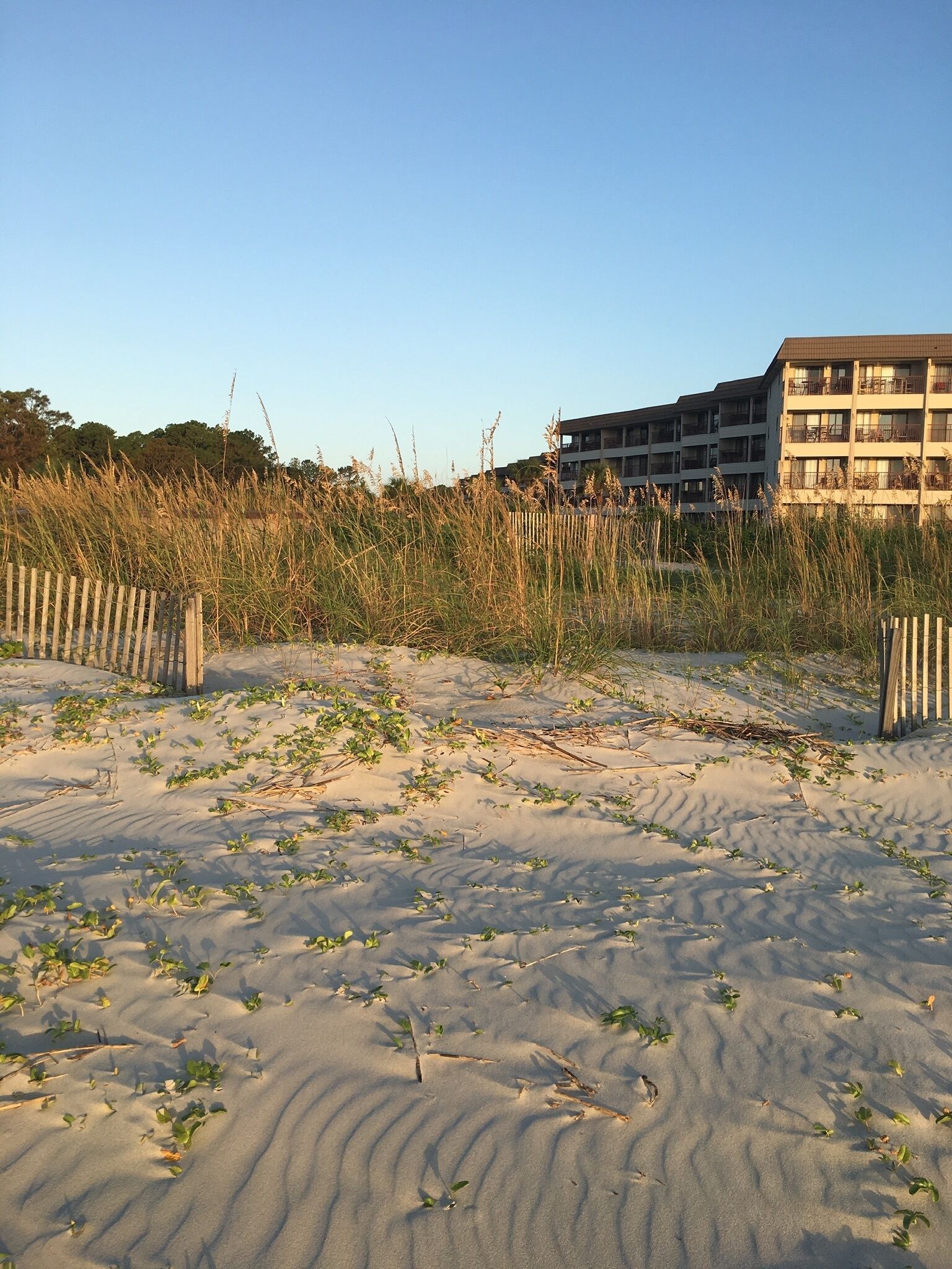 Une plage de sable avec une végétation clairsemée et une clôture en bois. Au fond, on aperçoit un immeuble à plusieurs étages doté de balcons.
