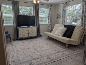 Smart TV, caminetto, libri, studio