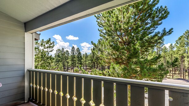 Ein Balkon mit Blick auf eine bewaldete Landschaft.