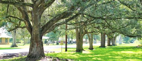 المنطقة المحيطة بالمنشأة