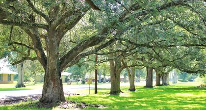 3/2 on 1 acre on main road close to Casinos, Restaurants & Plants!