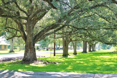 3/2 on 1 acre on main road close to Casinos, Restaurants & Plants!
