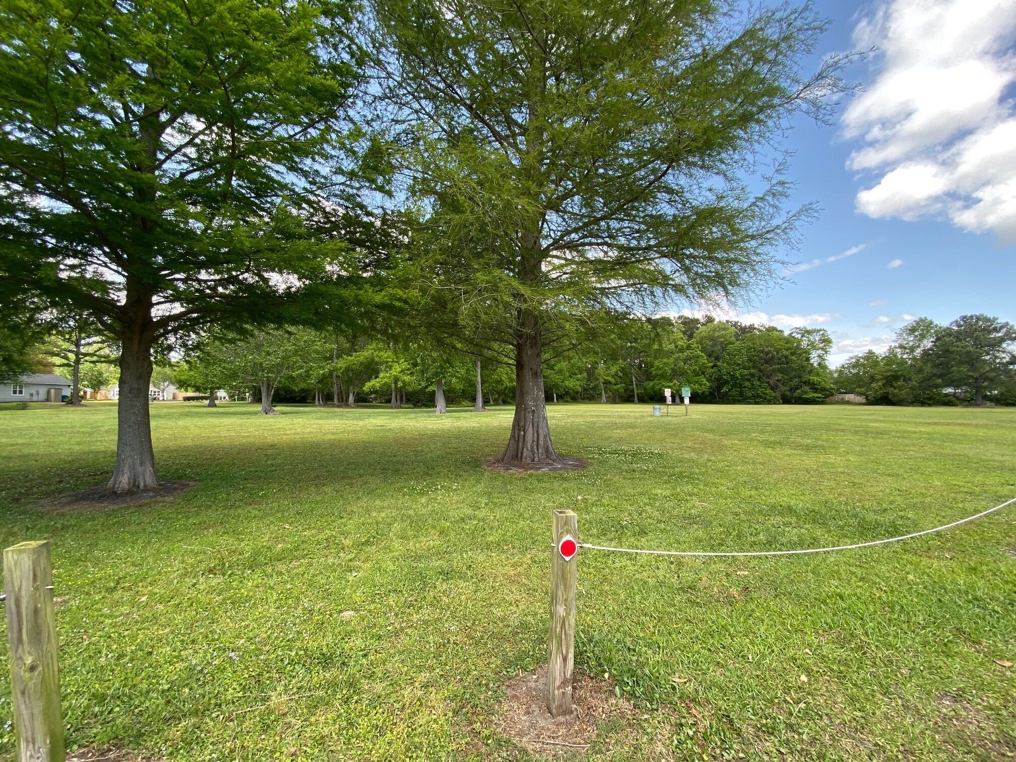 A grassy park area with trees and a wooden fence.