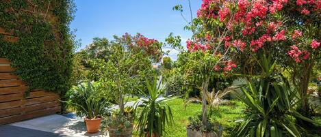 Overnattingsstedets uteområder