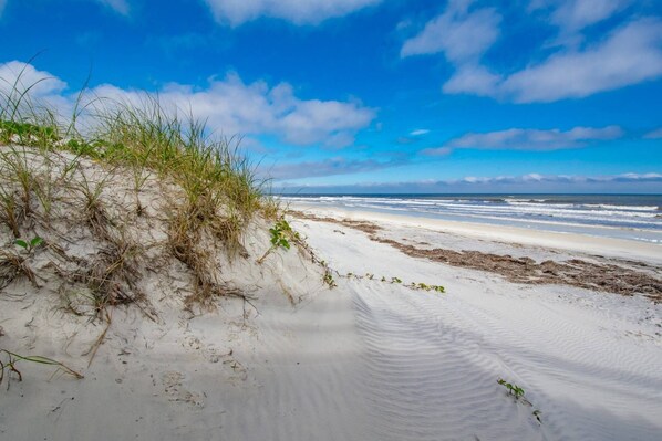 Vlak bij het strand