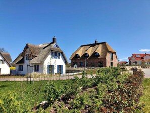Eksteriør
