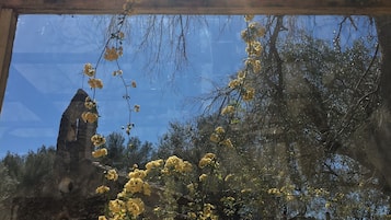 Premier Suite | View from room