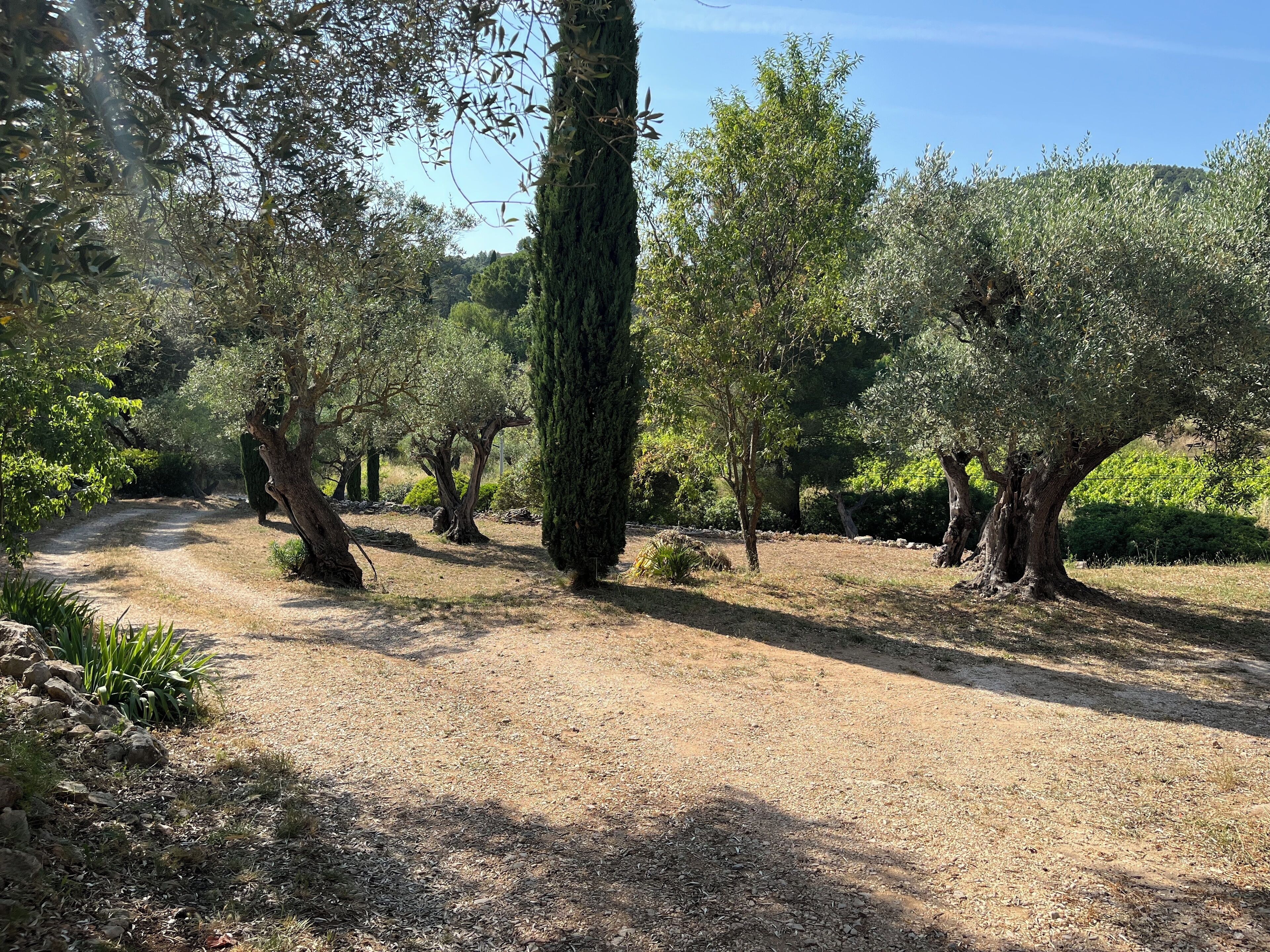 Foto - Bastide Sainte Trinide
