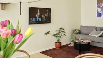 TV connectée, Netflix, services de streaming