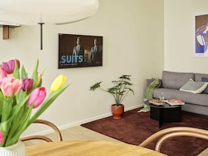 Smart TV, Netflix, streaming services