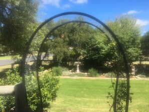 A garden with a metal archway, a stone pathway, and various plants.