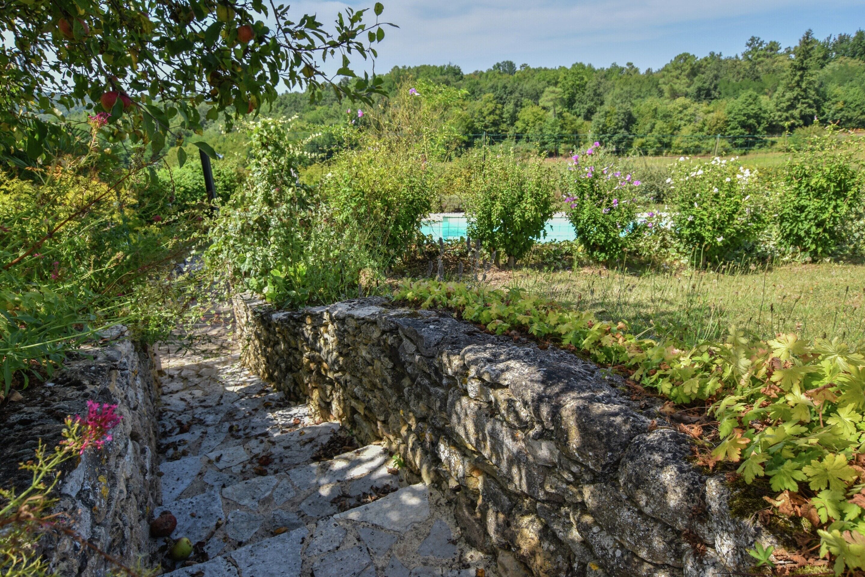 House | Garden