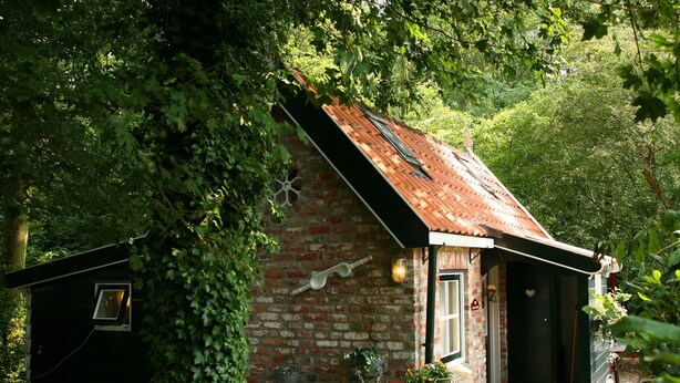 Billede uden beskrivelse, 1 af 31, knap