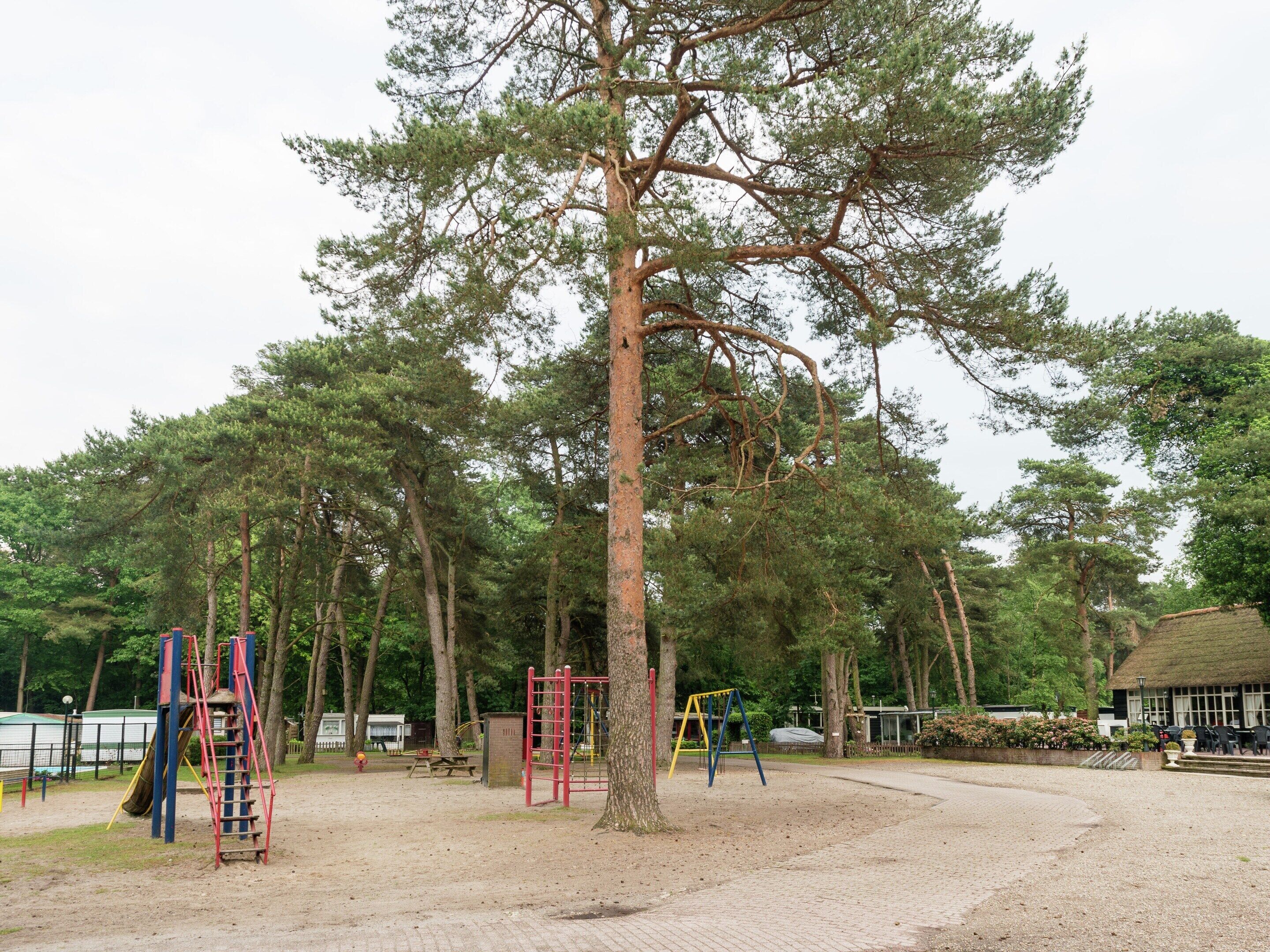 A playground with swings and climbing structures, surrounded by trees.