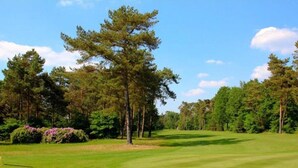 A golf course with a well-maintained fairway, sand bunkers, and a variety of trees and shrubs. - Holiday Home in Arrien Near Beerze Nature (Arriën)