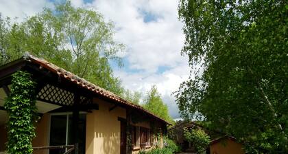 Spacious Dordogne Cottage