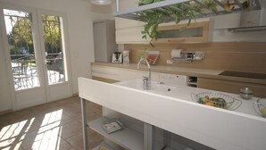 Eine moderne Küche mit weißer Arbeitsplatte, Spüle aus Edelstahl und einer hängenden Pflanze.