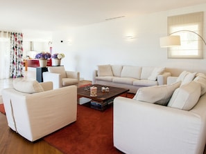 Living room - Opulent Villa in Les Adrets-de-l'estérel With Swimming Pool (Les Adrets-de-l'Esterel)