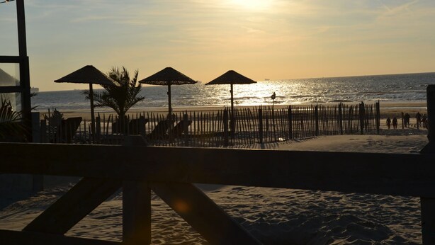 Une plage avec des parasols et des chaises longues, une clôture en bois et une vue sur l’océan.