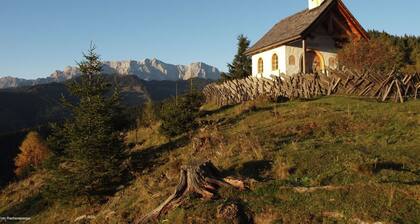 Spacious Villa near Lake in Goldegg
