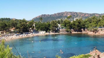 Vista desde la propiedad