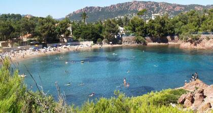 Villa in Le Muy With Private Pool and Lake