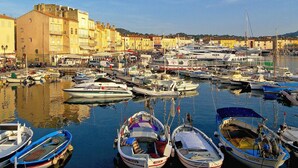 Un puerto deportivo con barcos amarrados, edificios al fondo y un cielo despejado.