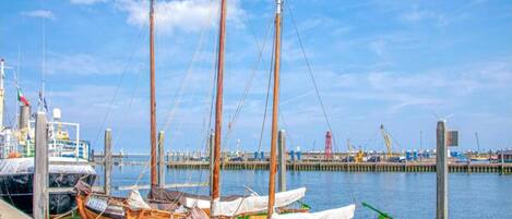 Villa | Pemandangan dari hartanah