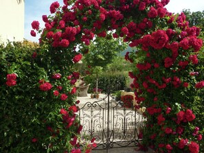 Property grounds - Cycling Escape in Montbrun (Montbrun-les-Bains)