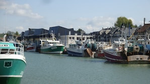 Marina com vários barcos atracados, edifícios ao fundo e céu claro.