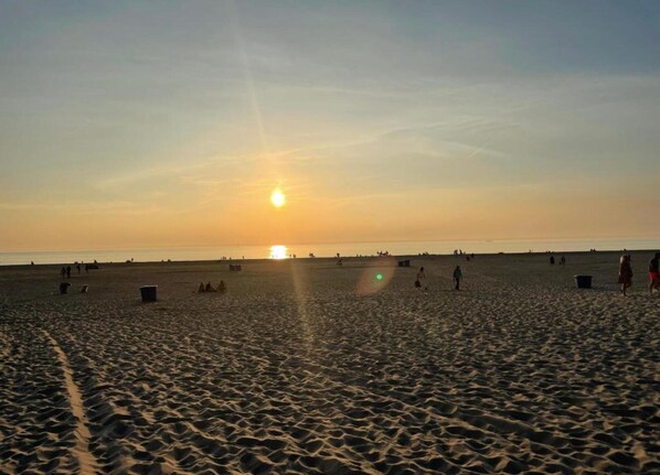 View from property - Elite Holiday Home in North Holland near Forest (Schoorl)