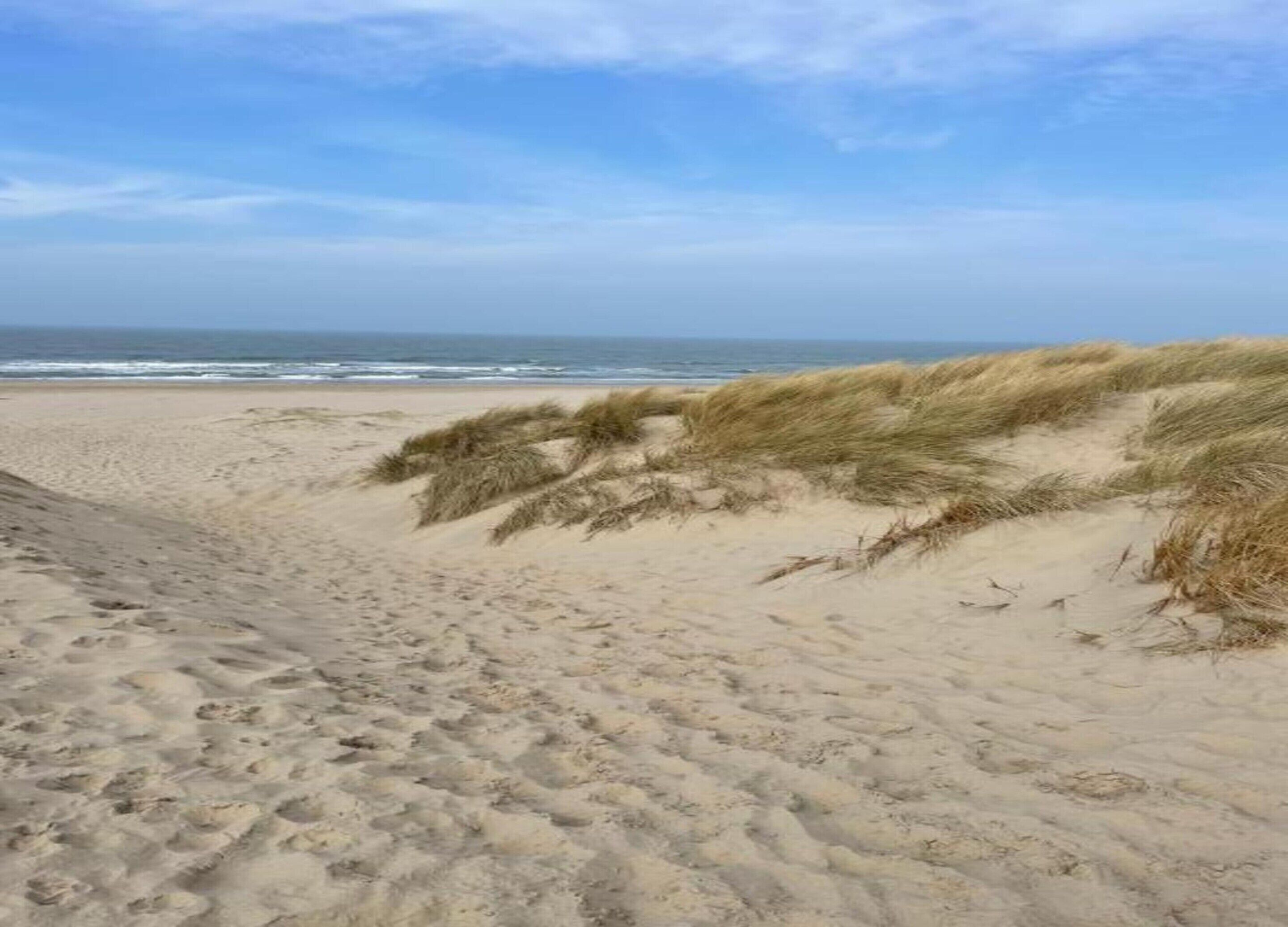 House | View from property