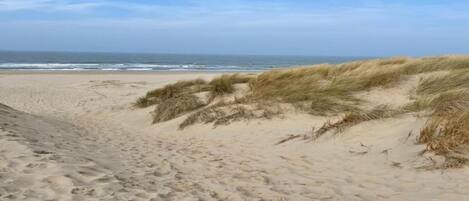 單棟房屋 | 住宿景觀