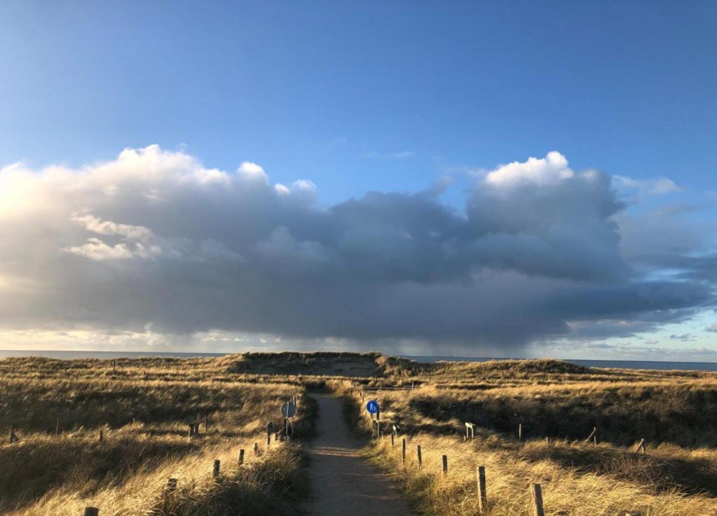 En sti gennem et græsland med klar himmel og skyer.