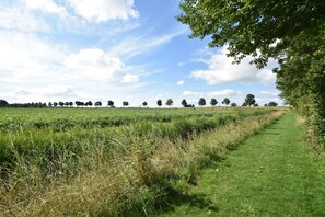 บ้านพัก | วิวจากที่พัก