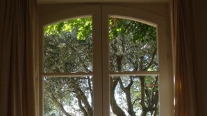 Puerta blanca con un panel de vidrio, cortinas y vistas a árboles y follaje exterior.
