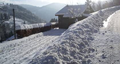 Chalet in the Vosges, Slopes and Hiking Paths