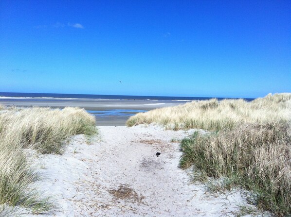 A sandy beach path leading to the ocean, surrounded by grass.
