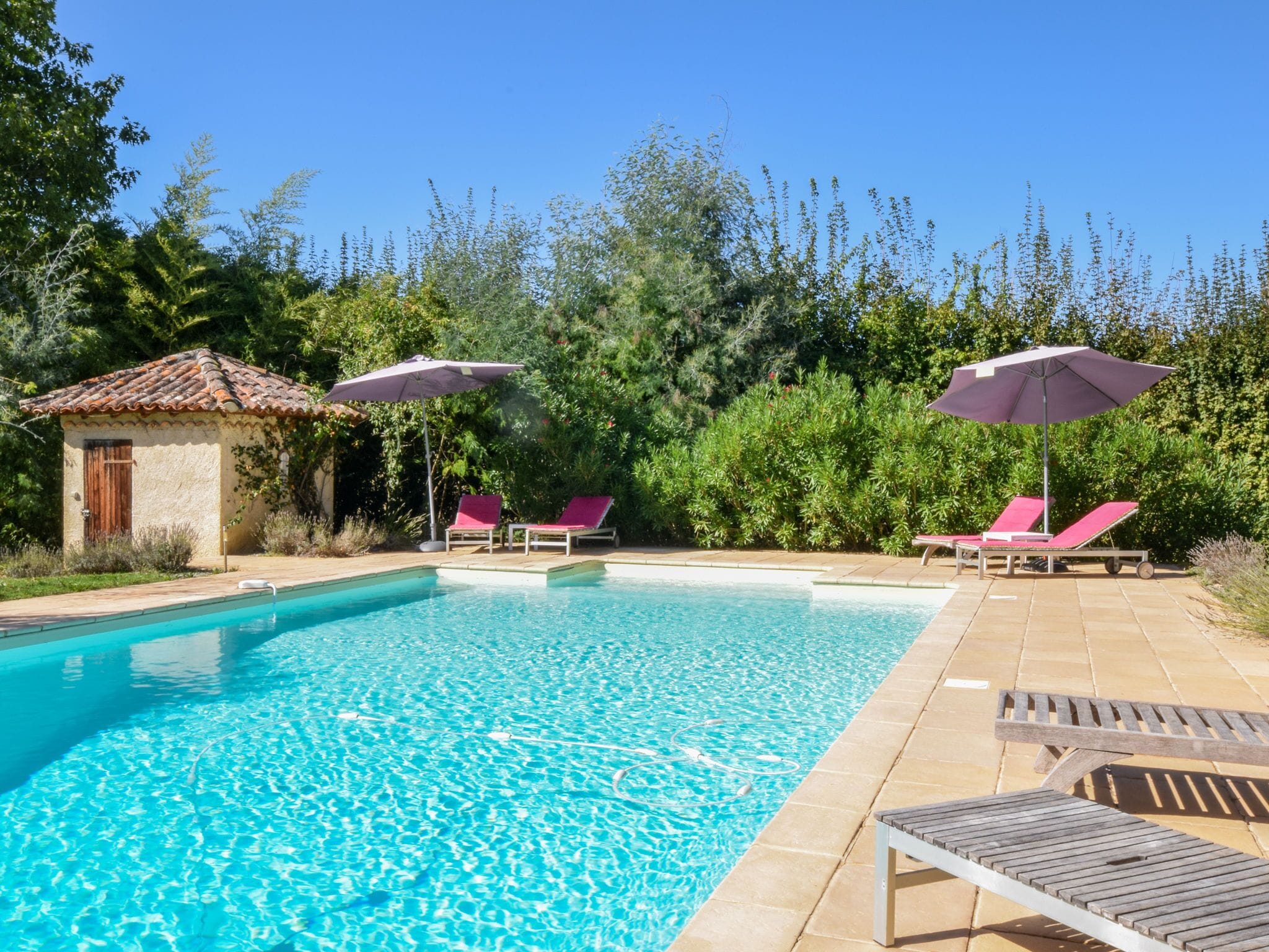House | Pool | Outdoor pool