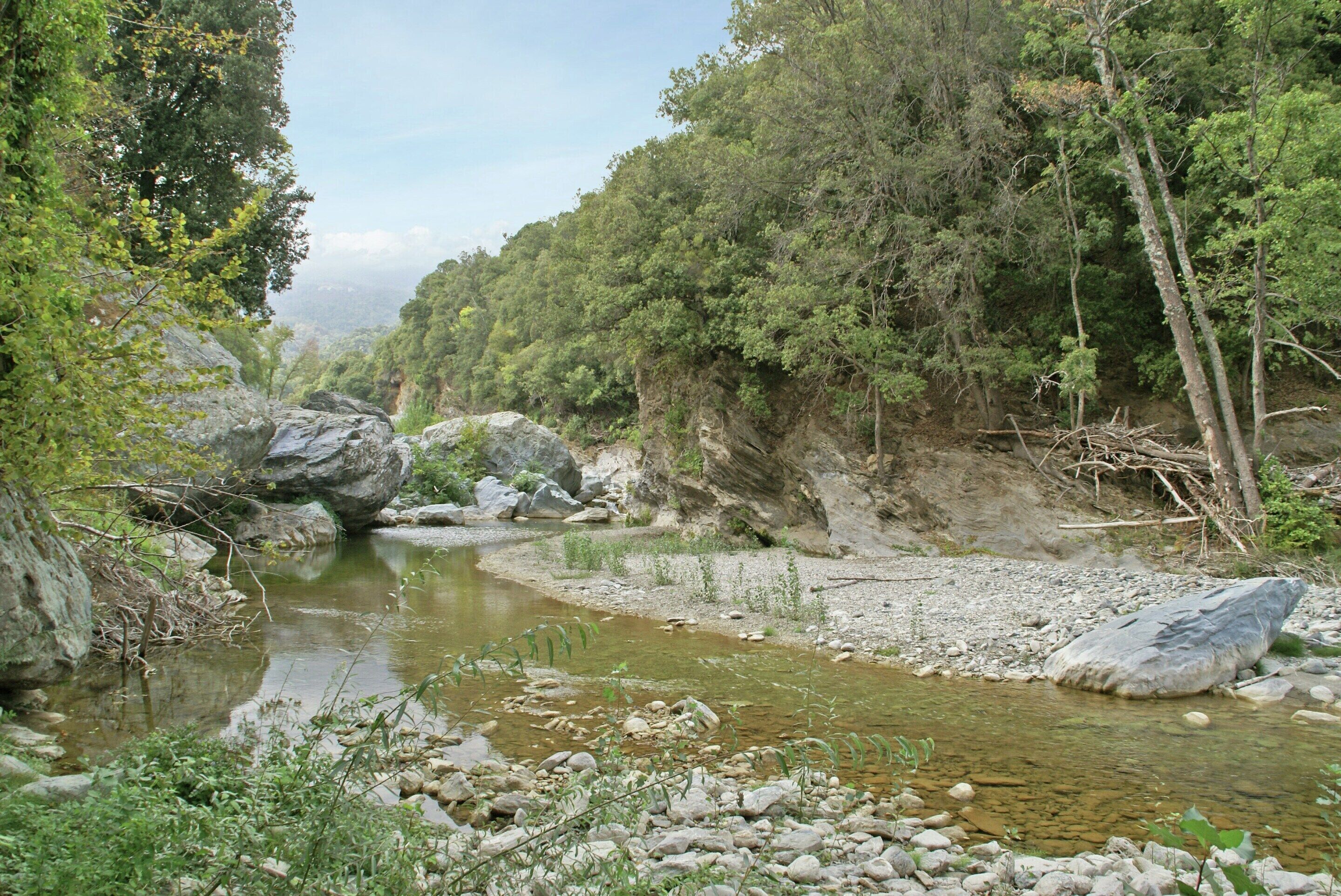 A river flowing through a rocky landscape with dense trees.
