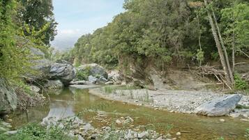 A river flowing through a rocky landscape with dense trees.