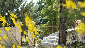 A stone wall, a metal fence, and yellow flowers in a garden setting. - Villa in Reillanne With Private Pool (Reillanne)