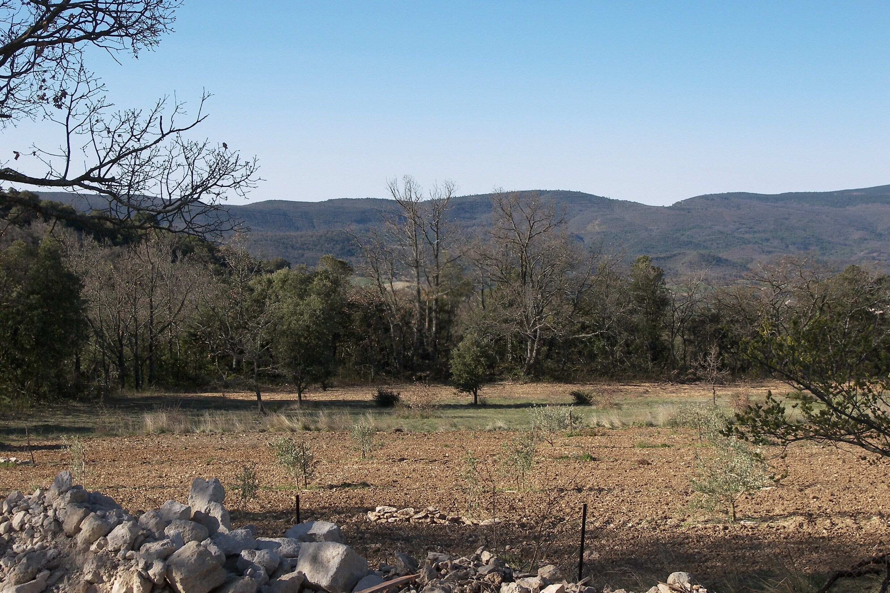 Paisatge natural amb arbres, un camp i turons allunyats.