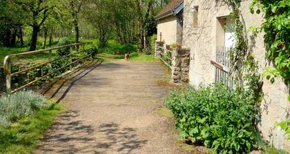 Peaceful Holiday Home in Burgundy, Next to River