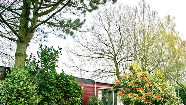 Unclassified image, 1 of 21, button - Tidy Chalet With gas Fireplace, in the Achterhoek (Ootmarsum)
