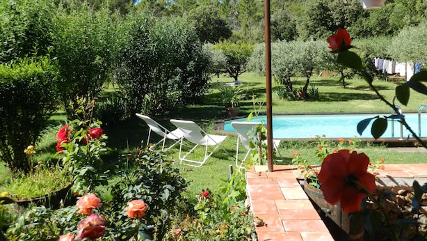 Pool - Sweet Holiday Home With a Large Lawn, Swimming Pool, Privacy and Close to Cute Villages (Sillans-la Cascade)