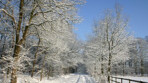 Udendørsområde