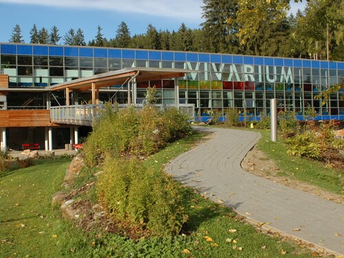 Holiday Home in Scheifling Near Ski Slopes